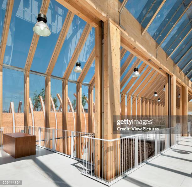 Timber frame and glazing of upper floor nave. Milan EXPO 2015, Spanish Pavilion, Milan, Italy. Architect: B720 Fermi_x0001_n Va_x0001_zquez, 2015.