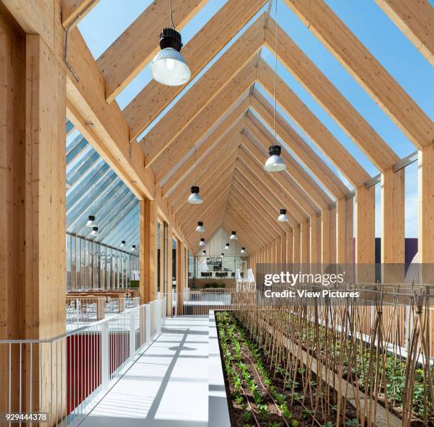 Double-naved upper floor with plant exhibit and Tapas bar. Milan EXPO 2015, Spanish Pavilion, Milan, Italy. Architect: B720 Fermi_x0001_n...