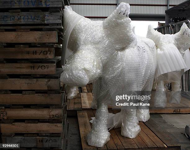 Blank canvas cows sit in a warehouse awaiting collection by artists and ready to be decorated for inclusion in the Cow Parade 2010, at Cowora...