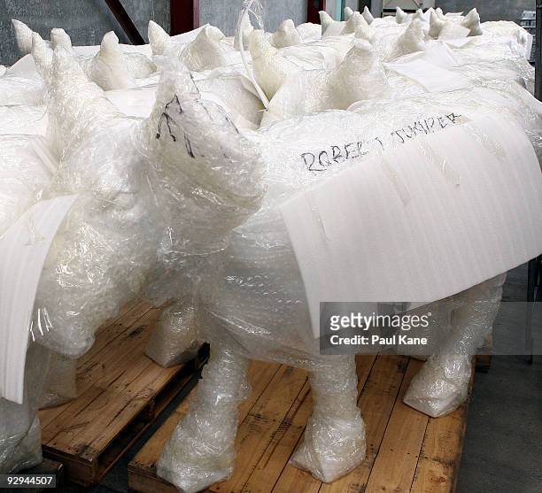Blank canvas cows sit in a warehouse awaiting collection by artists and ready to be decorated for inclusion in the Cow Parade 2010, at Cowora...