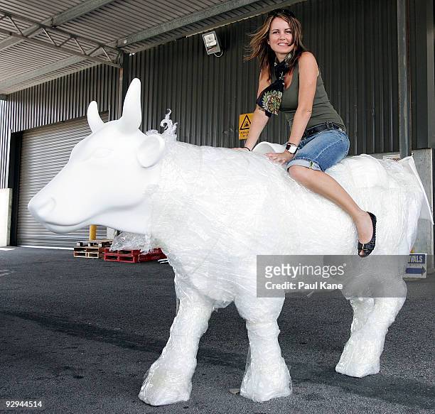 Artist Emma Blyth collects her blank canvas cow ready to decorate for inclusion in the Cow Parade 2010, at Cowora Transport Depot on November 10,...