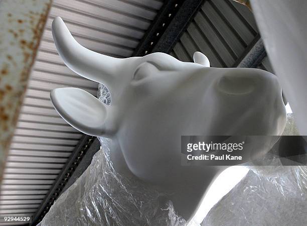 Blank canvas cow sits on the back of a vehicle ready to be decorated for inclusion in the Cow Parade 2010, at Cowora Transport Depot on November 10,...