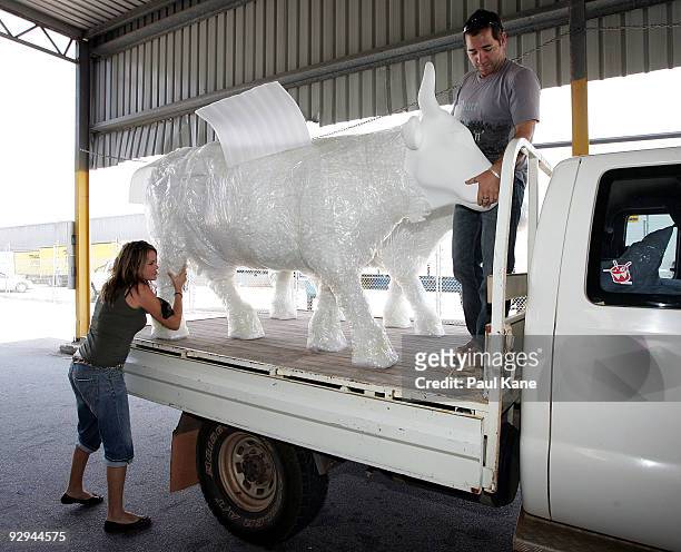 Artist Emma Blyth collects her blank canvas cow ready to decorate for inclusion in the Cow Parade 2010, at Cowora Transport Depot on November 10,...