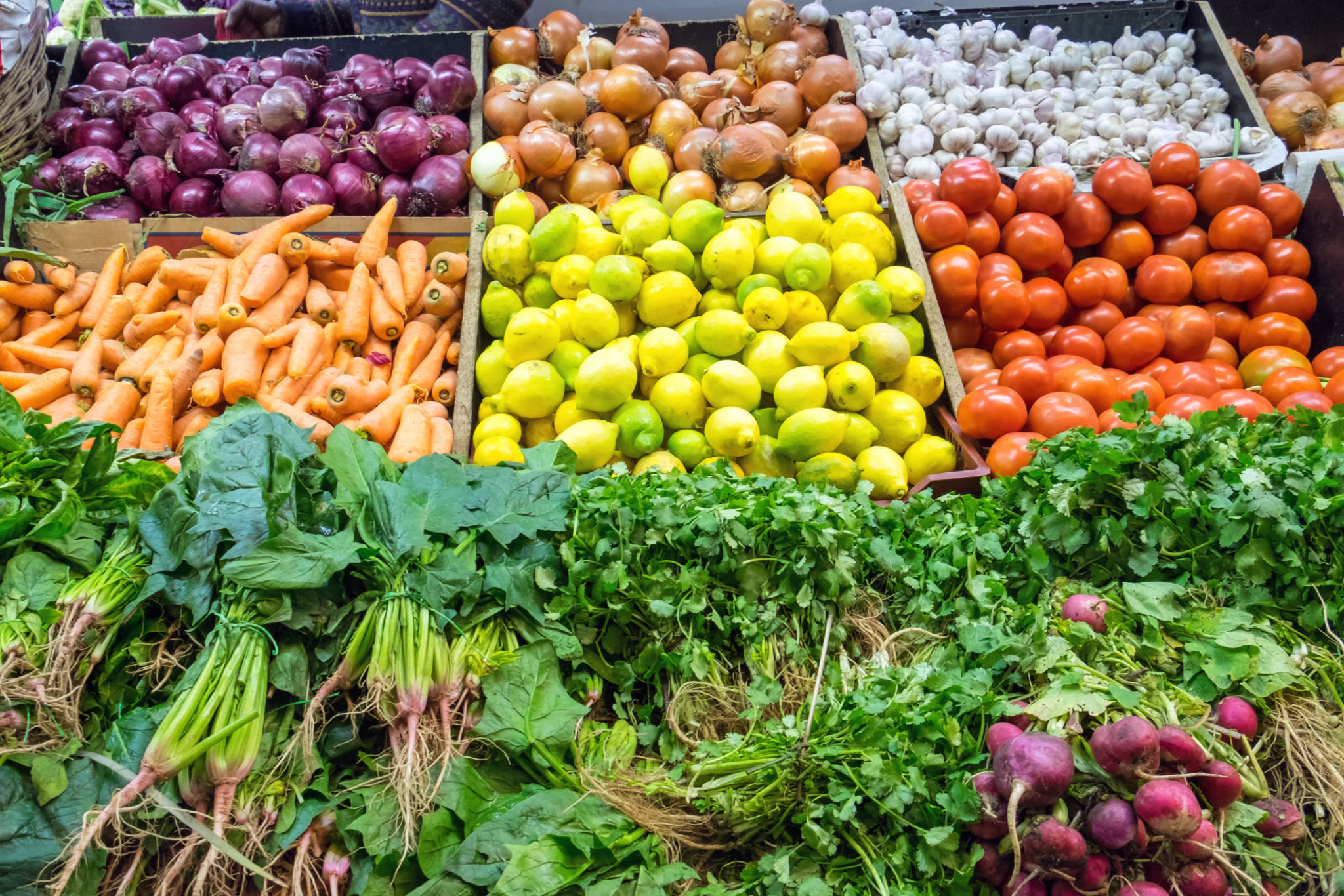 Choice of fresh vegetables for sale Choice of fresh vegetables for sale