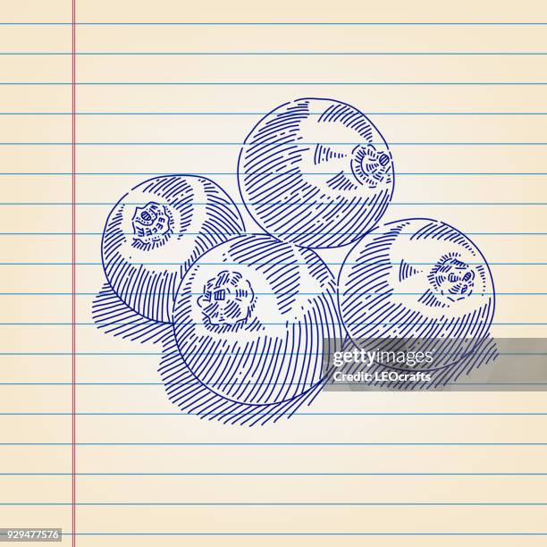 blueberry drawing on lined paper - blueberry pattern stock illustrations