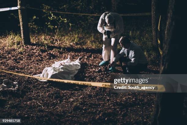 risoluzione degli omicidi nella foresta - vittima assassinata foto e immagini stock