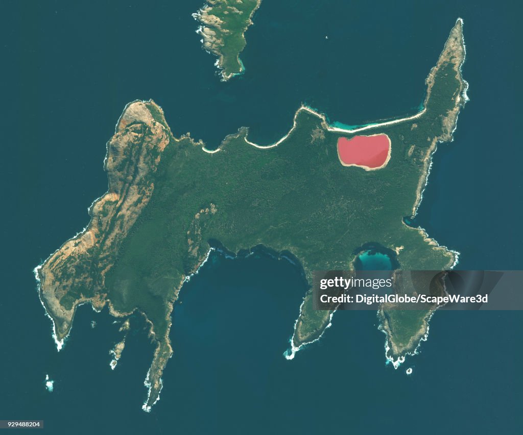 A DigitalGlobe satellite image of Lake Hillier -- a saline lake off the south coast of western Australia located on Middle Island.
