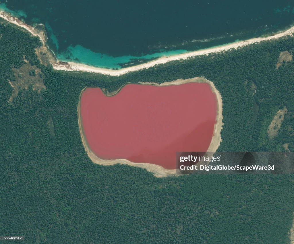 A closeup DigitalGlobe satellite image of Lake Hillier -- a saline lake off the south coast of western Australia.