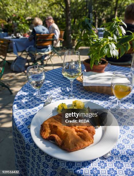 Wiener Schnitzel and Wine served in a tradtional open air restaurant in Unterloiben in the Wachau. The Wachau is a famous vineyard and listed as...