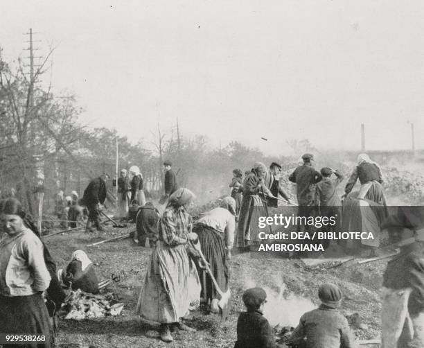 Rummaging Photos and Premium High Res Pictures - Getty Images