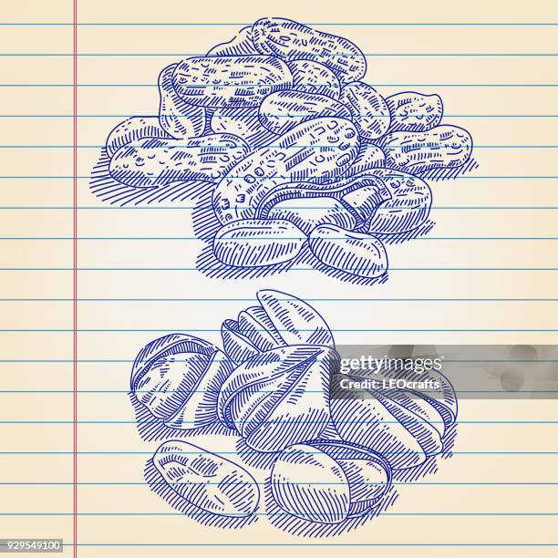 peanut and almond drawing on lined paper - almonds stock illustrations