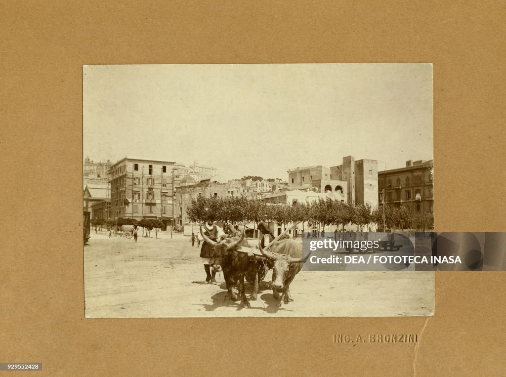 Ox-drawn cart, with Quattro Mori hotel, Cagliari