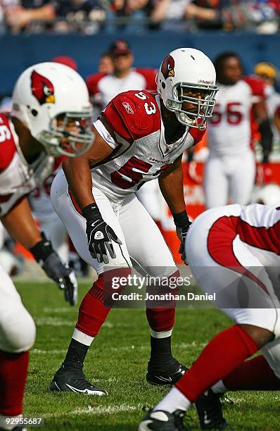 Clark Haggans of the Arizona Cardinals awaits the start of play against the Chicago Bears at Soldier Field on November 8, 2009 in Chicago, Illinois....