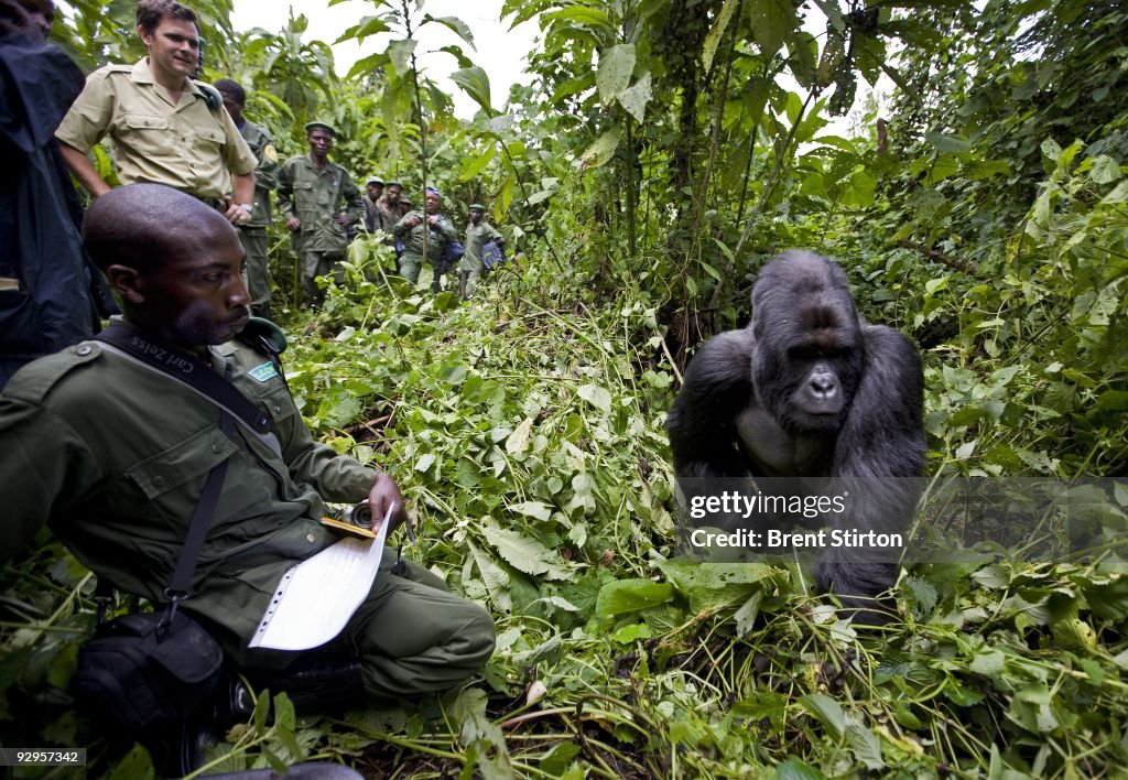 The Rangers of Virunga National Park