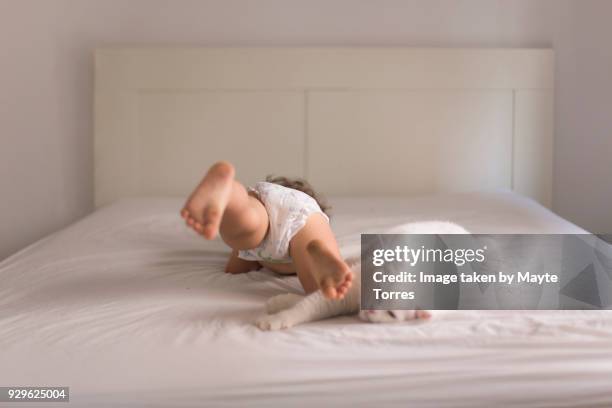 toddler laying in bed with cat - diaper kids stock pictures, royalty-free photos & images