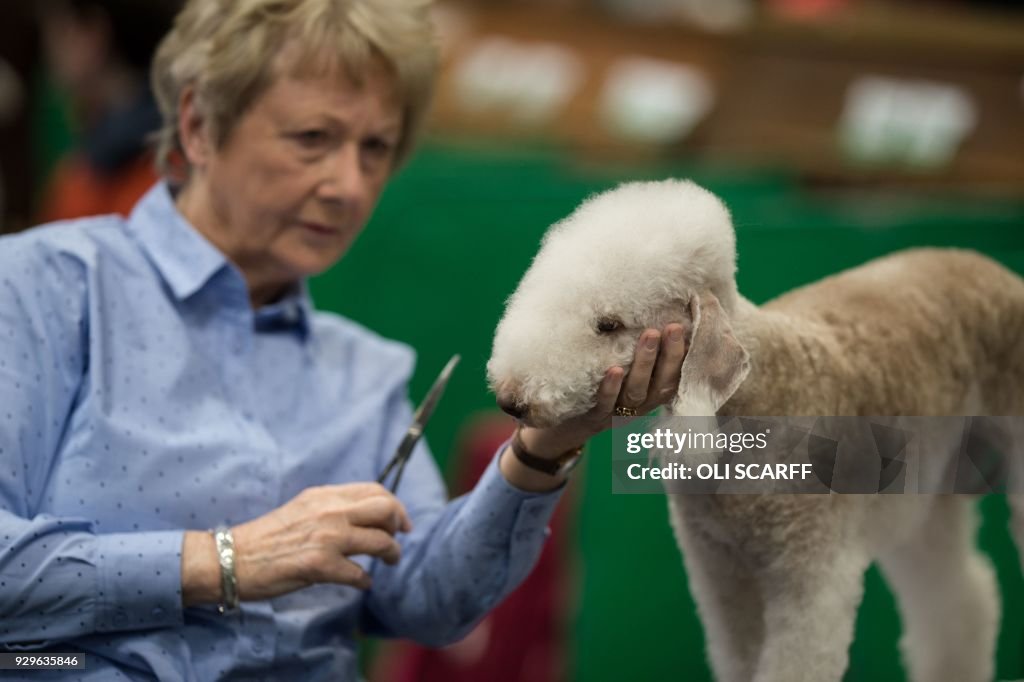 BRITAIN-ANIMAL-DOG-CRUFTS