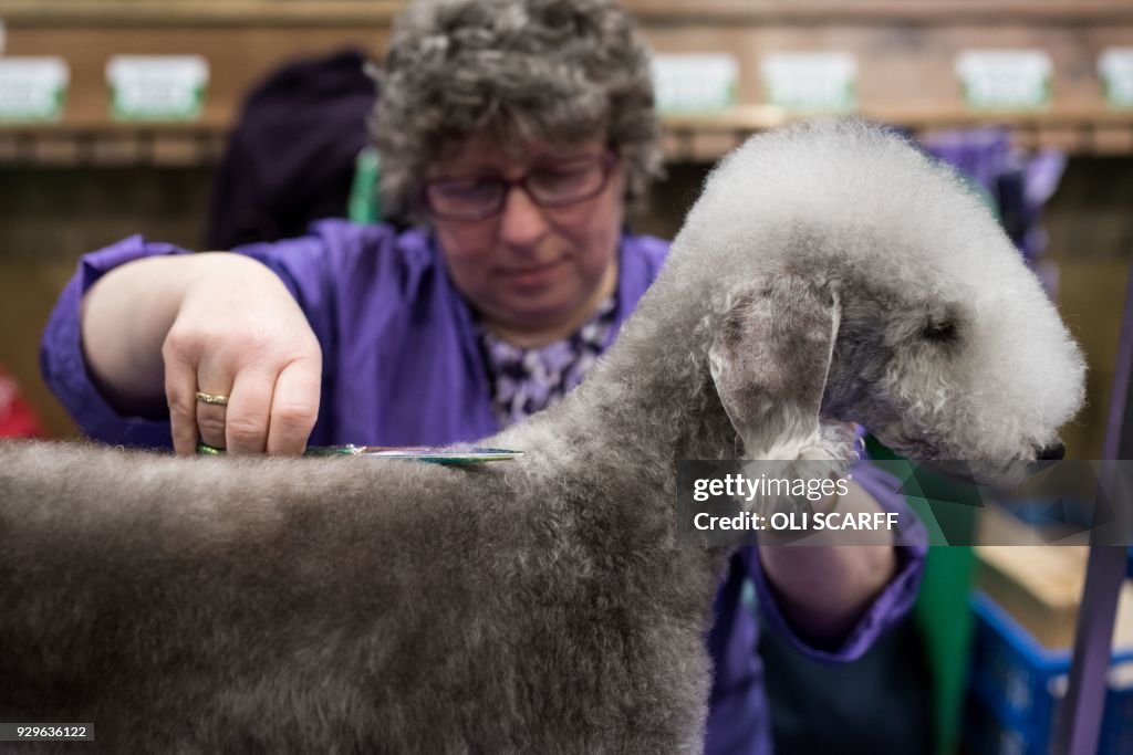 BRITAIN-ANIMAL-DOG-CRUFTS