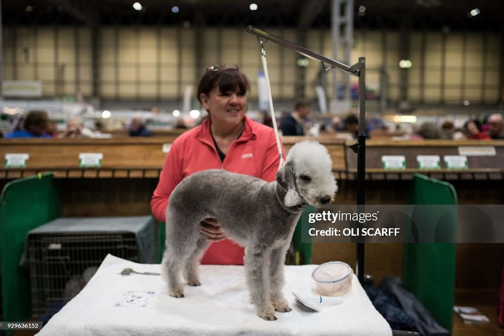 BRITAIN-ANIMAL-DOG-CRUFTS