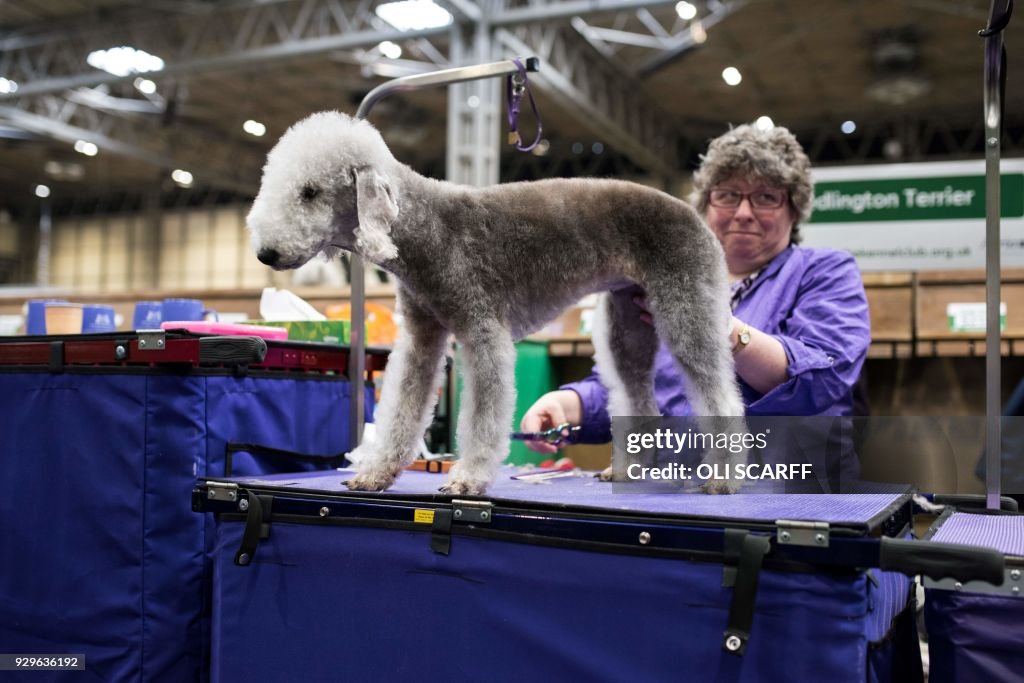 BRITAIN-ANIMAL-DOG-CRUFTS