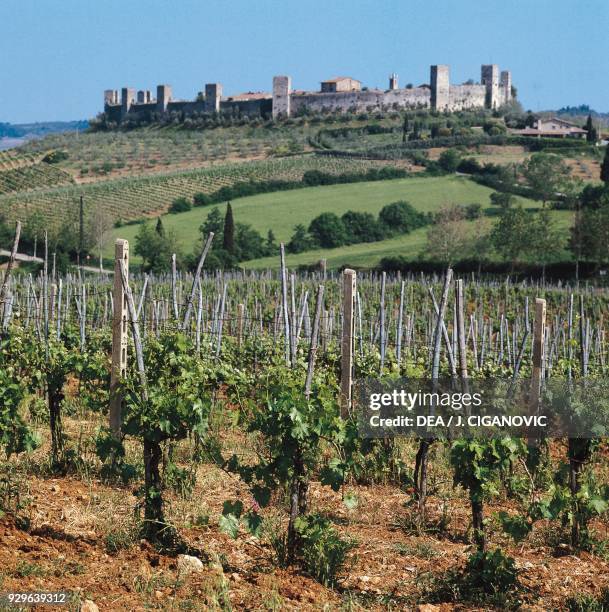 Fortified town of Monteriggioni, Tuscany, Italy.