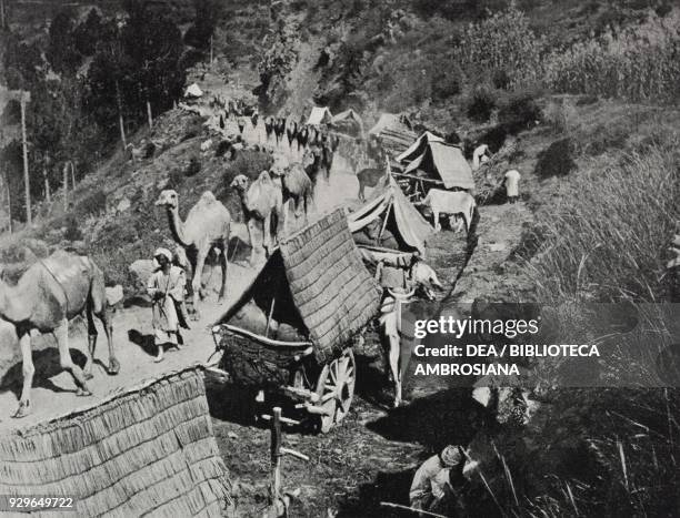 Dromedaries along the Cashmere route, from Le Figaro-Modes, No 24, December, 1904.