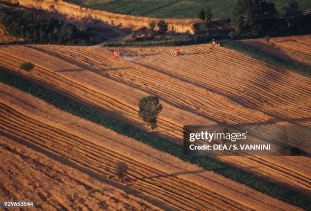 Agricultural landscape with cultivated fields in the Tiber river valley, near Bassano in Teverina, Lazio, Italy.
