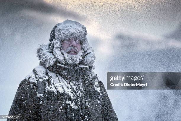 winterliche szene eines mannes mit pelzigen und vollbart zitternd in einem schneesturm - snow stock-fotos und bilder