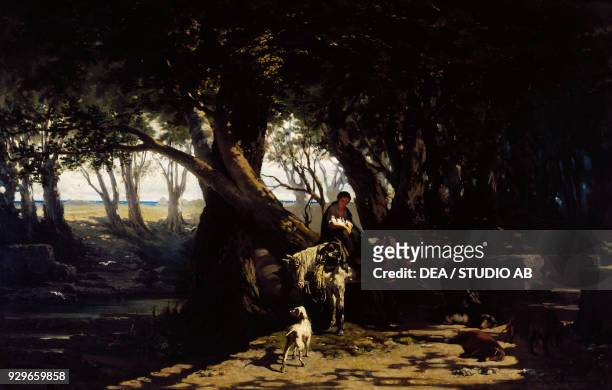 Ardenza or Olive grove in Antignano, 1859-1861, by Telemaco Signorini , oil on canvas, 55x90 cm. Italy, 19th century.