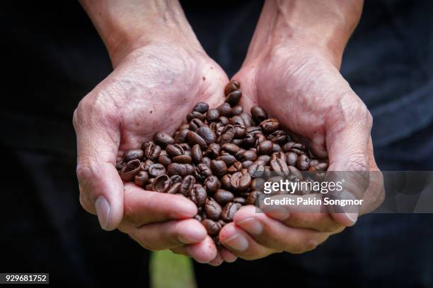 fair trade farming is best for coffee bean produce - economist magazine vendor gives away promotional cups of kopi luwak civet coffee as pearson plc plan stake disposal stockfoto's en -beelden