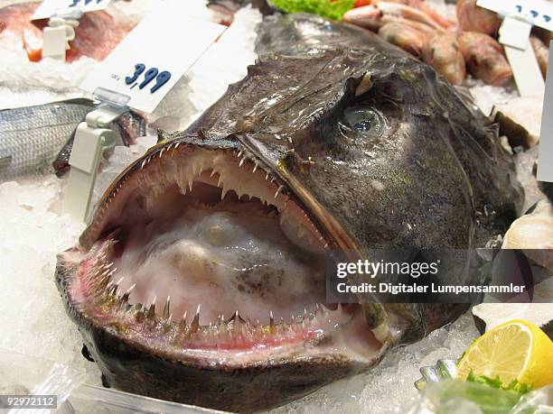 monk fish - angler fish stock pictures, royalty-free photos & images