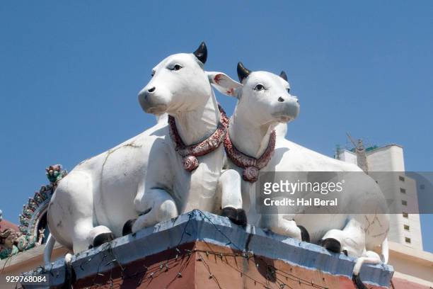 statues of sacred cows - sri mariamman temple singapore stock pictures, royalty-free photos & images