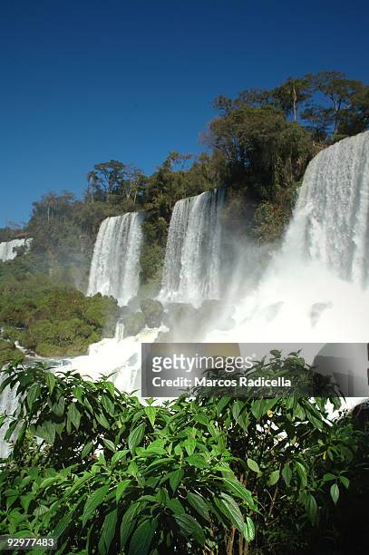 iguazu falls, argentina - radicella stockfoto's en -beelden
