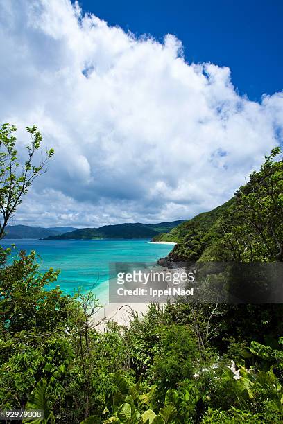 secret beach on the japanese tropical island - amami stock-fotos und bilder