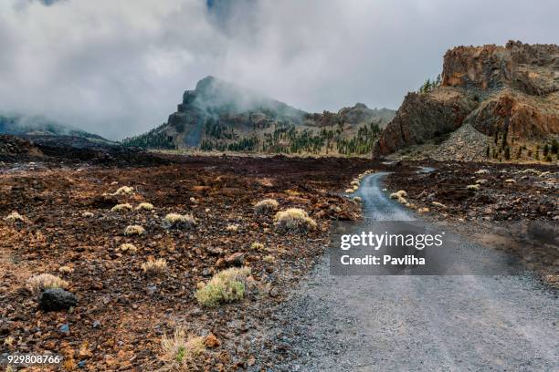 road on el teide vulcan national park,tenerife,spain - vulcan roman god stock pictures, royalty-free photos & images