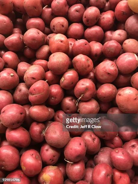 raw red potatoes on sale at the market 2 - american potato farm stockfoto's en -beelden