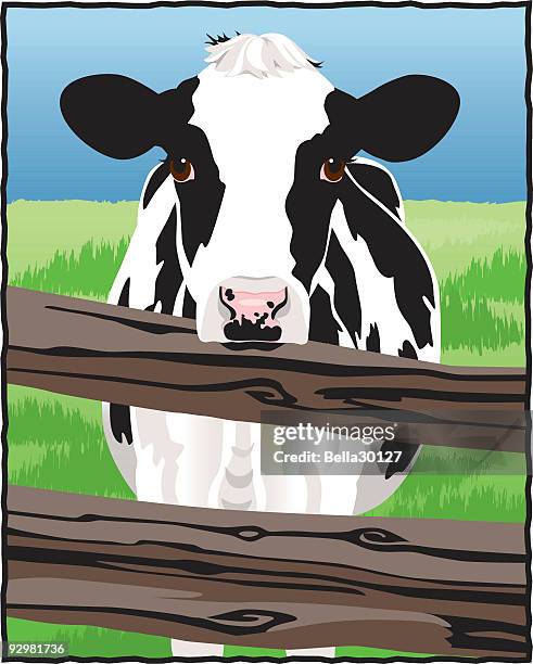 holstein cow - spotted cow stock illustrations