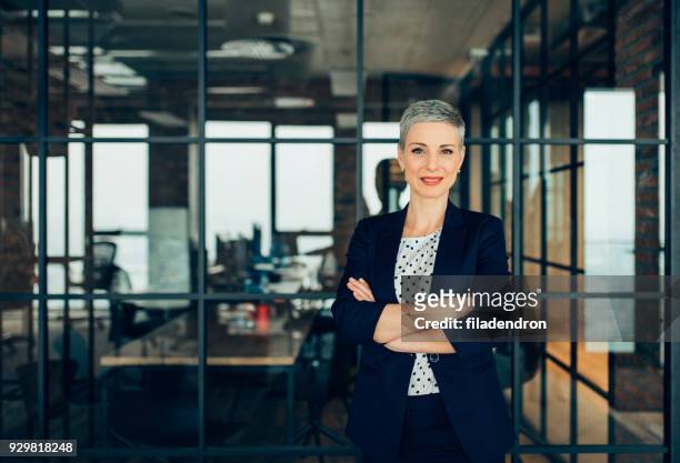 successful businesswoman - gerente imagens e fotografias de stock