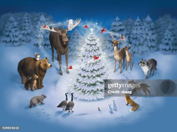 682 fotos e imágenes de Raton Navidad - Getty Images 682 fotos e imágenes de Raton Navidad - Getty Images