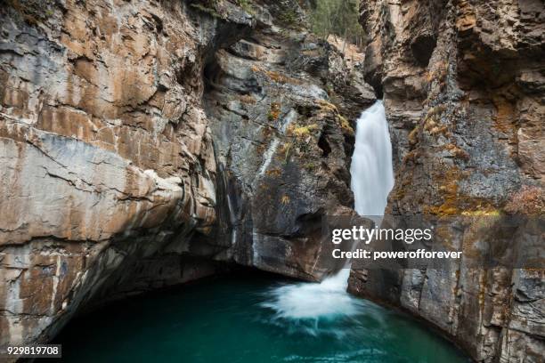 cae menor en johnston canyon en el canadienses montañas rocosas, alberta - cataratas lower falls fotografías e imágenes de stock