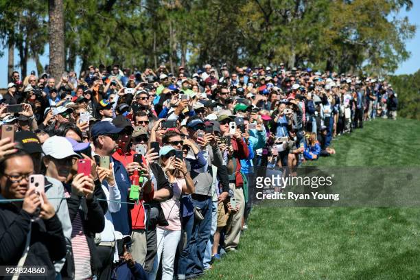 Fans watch Tiger Woods' group during the second round of the Valspar Championship at Innisbrook Resort on March 9, 2018 in Palm Harbor, Florida.