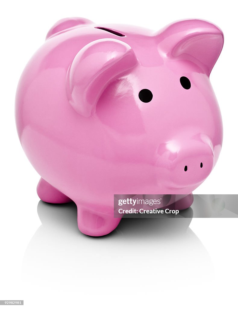 Pink Piggy Bank