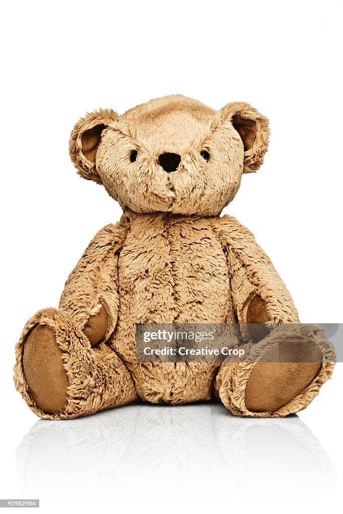 Child's teddy bear