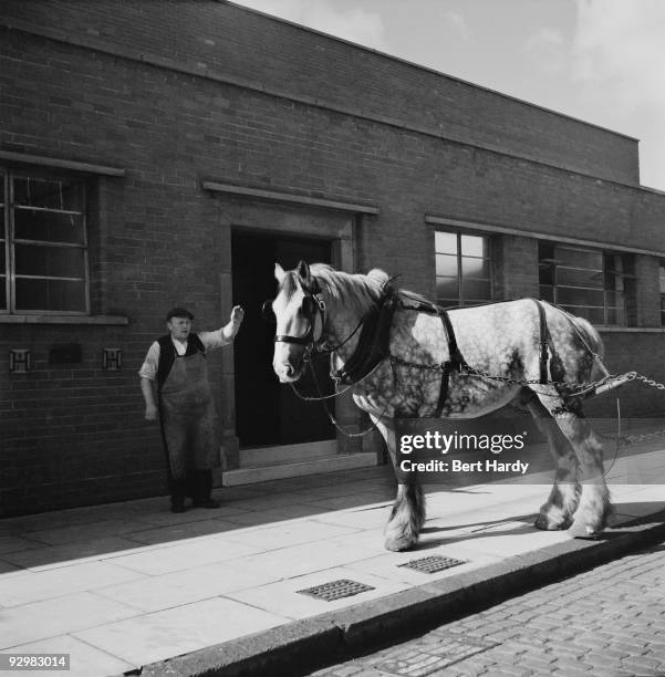 Carrier and his carthorse in Liverpool, 1953. Together they transport goods between the docks and railways. Original publication: Picture Post - 8408...