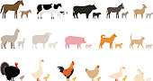 Livestock, Farm animals and their kids,  black icons set, vector illustration