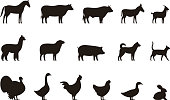 Farm animals black icons set, Livestock, vector illustration