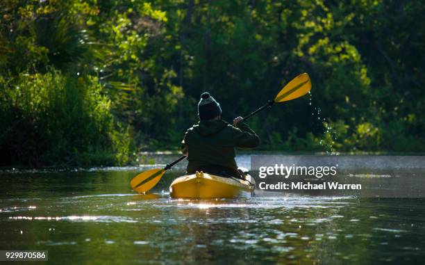 kayaker at dawn on the silver river - ocala stock pictures, royalty-free photos & images