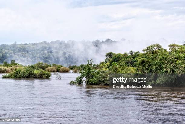 iguazu river with spray of water - garganta del diablo fotografías e imágenes de stock