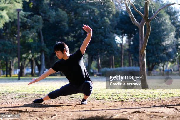 giovane appassionato di arti marziali che pratica fuori - kung fu foto e immagini stock