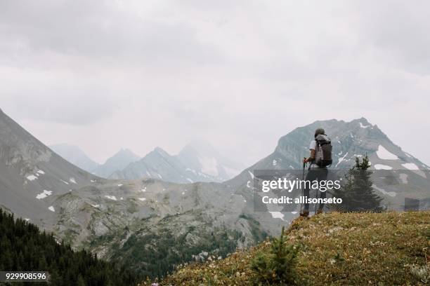 woman looks out at mountains - kananaskis stock pictures, royalty-free photos & images