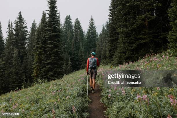 man hikes through meadow - kananaskis stock pictures, royalty-free photos & images